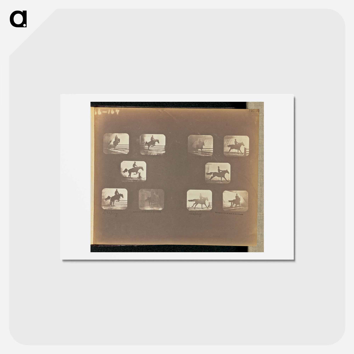 アートポストカード-Leaping
- エドワード マイブリッジ Postcard.