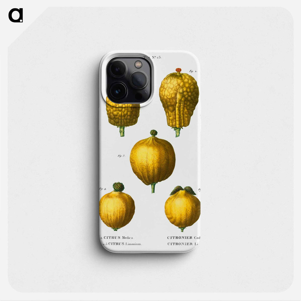Citron, Citrus medica 3, 4, 5. Lemon, Citrus limonium - Pierre Joseph Redouté Phone Case.