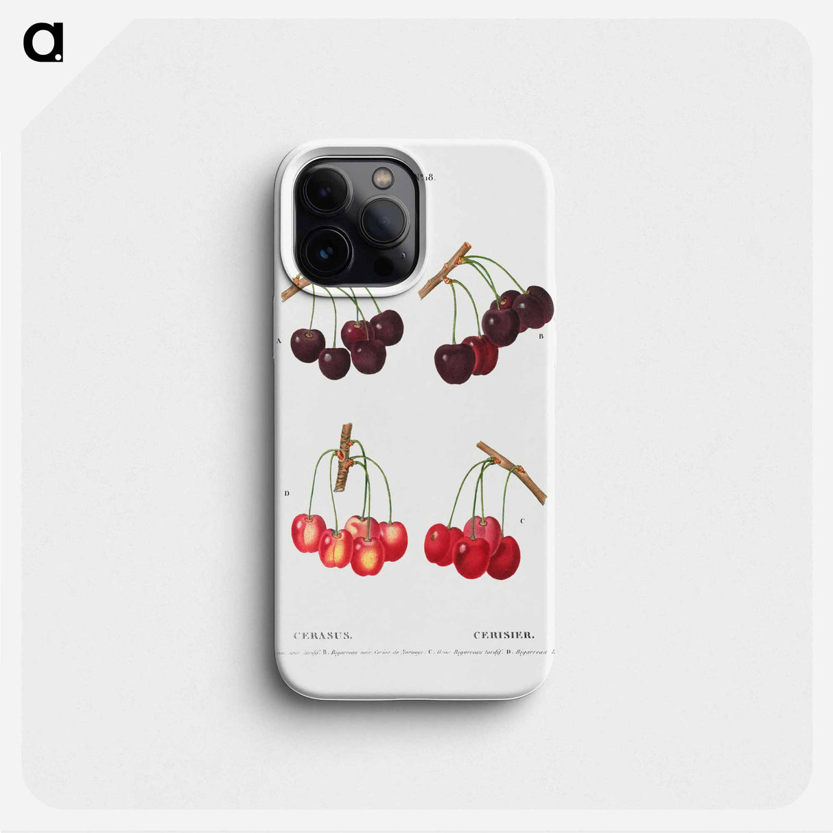 Cherry, Cerasus - Pierre Joseph Redouté Phone Case.