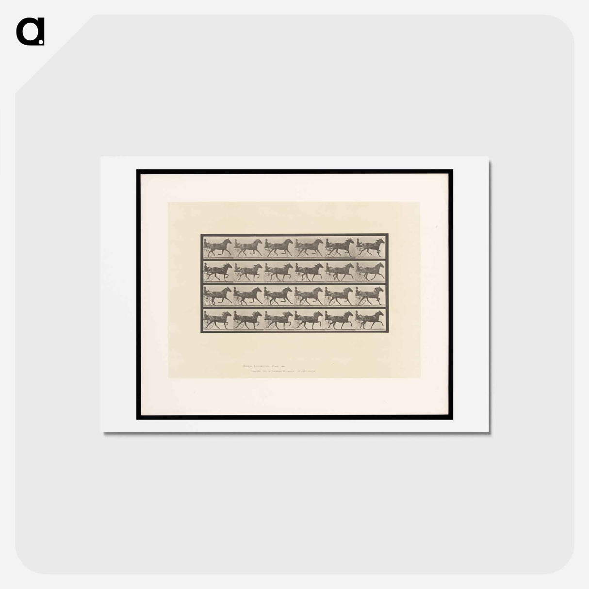 アートポストカード-Sulky Driver
- エドワード マイブリッジ Postcard.