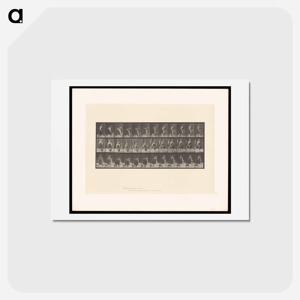 アートポストカード-The Basket
- エドワード マイブリッジ Postcard.