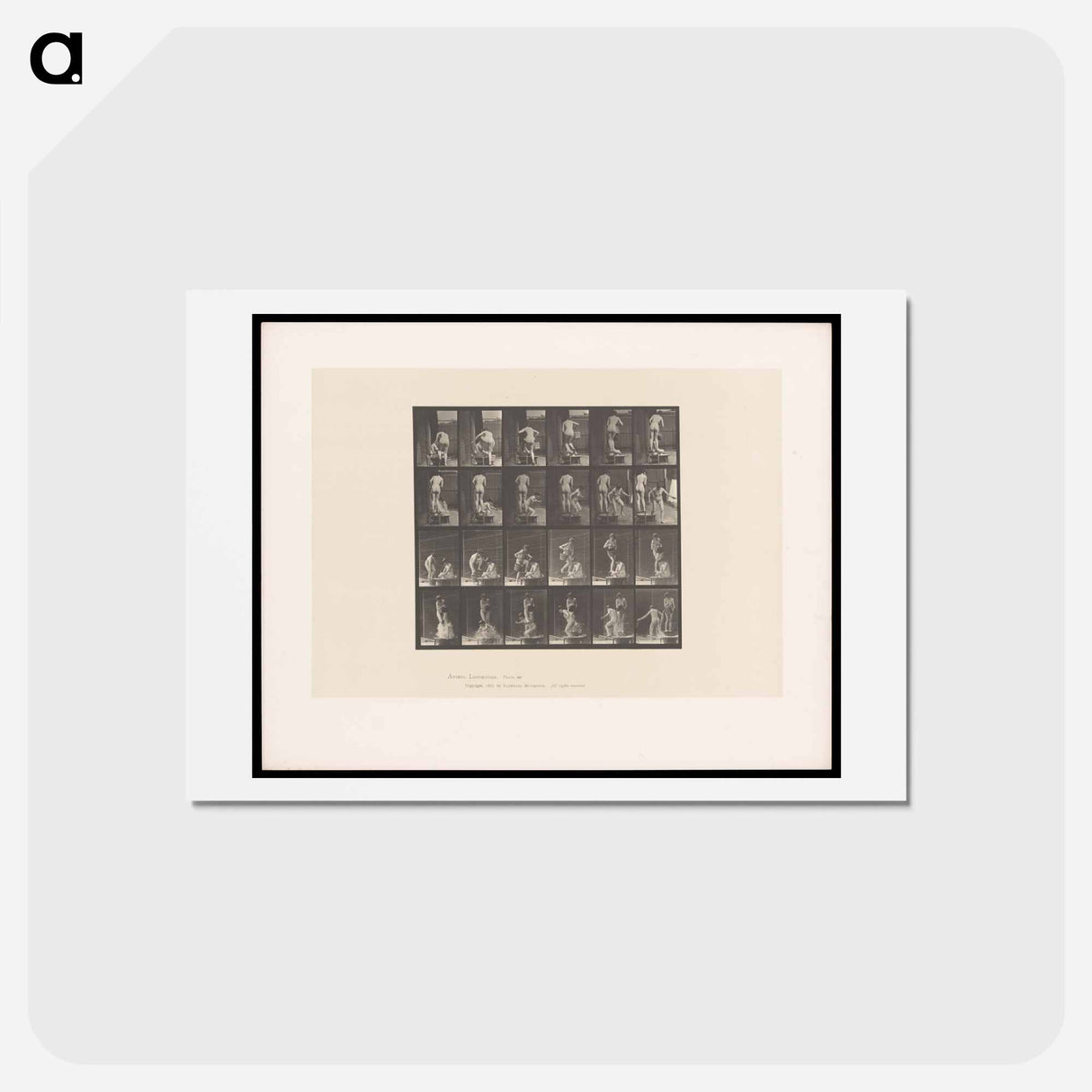 アートポストカード-Water Pour
- エドワード マイブリッジ Postcard.