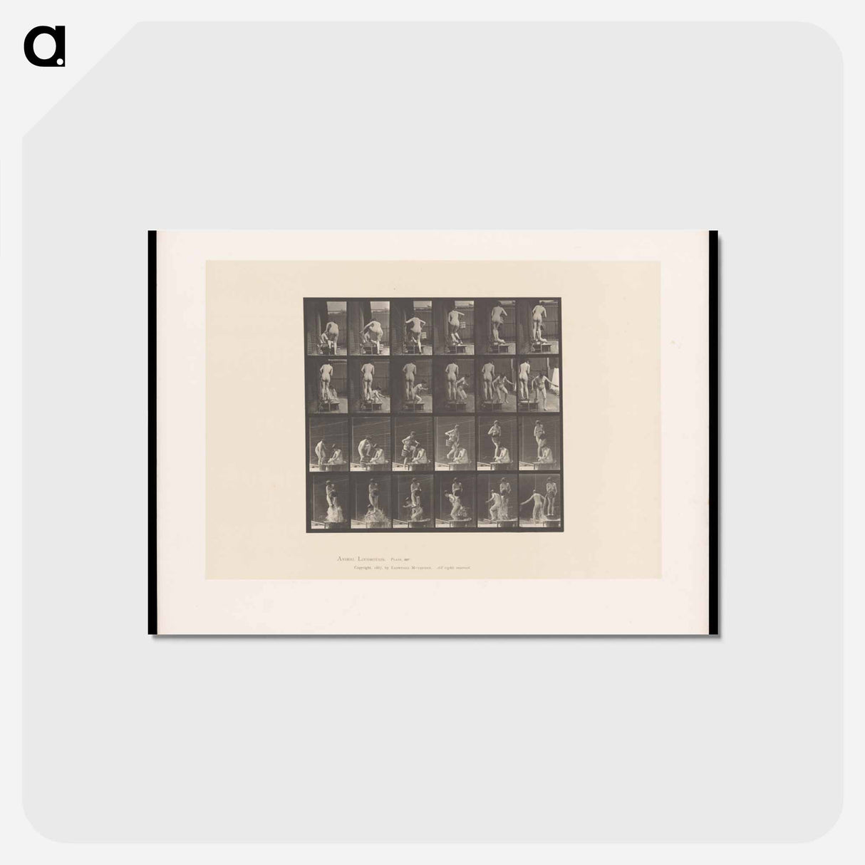 アートポストカード-Water Pour
- エドワード マイブリッジ Postcard.