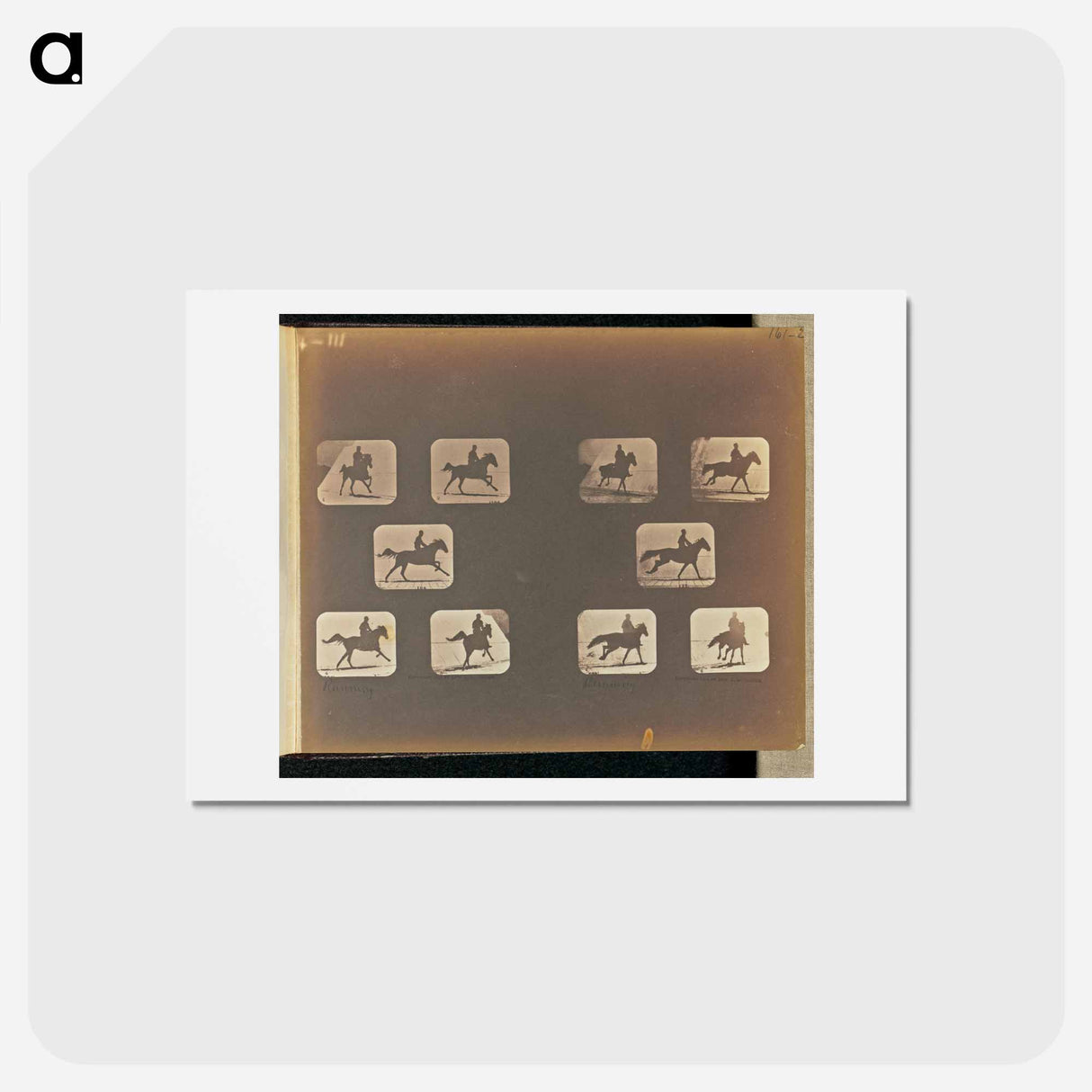 アートポストカード-Running
- エドワード マイブリッジ Postcard.