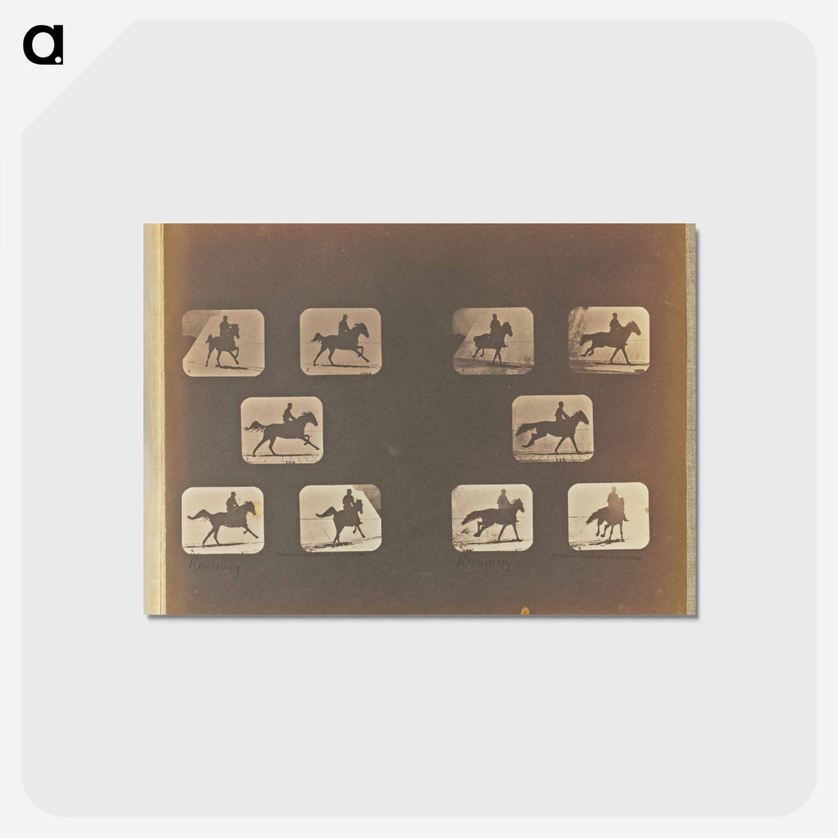 アートポストカード-Running
- エドワード マイブリッジ Postcard.