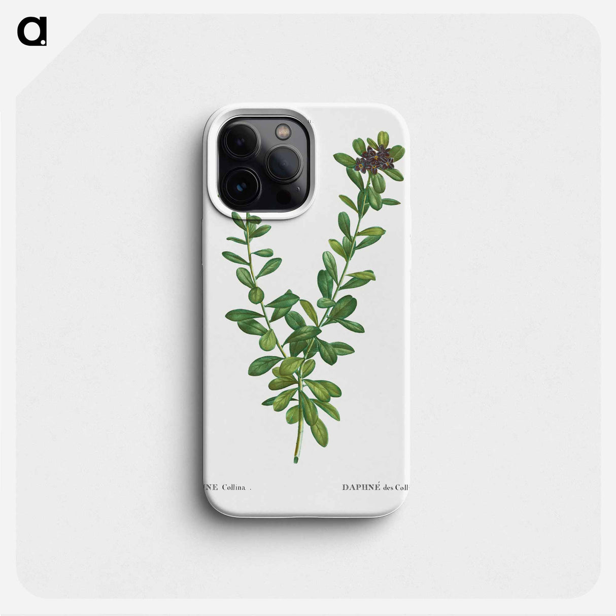 Daphne sericea (Daphne Collina) - Pierre Joseph Redouté Phone Case.