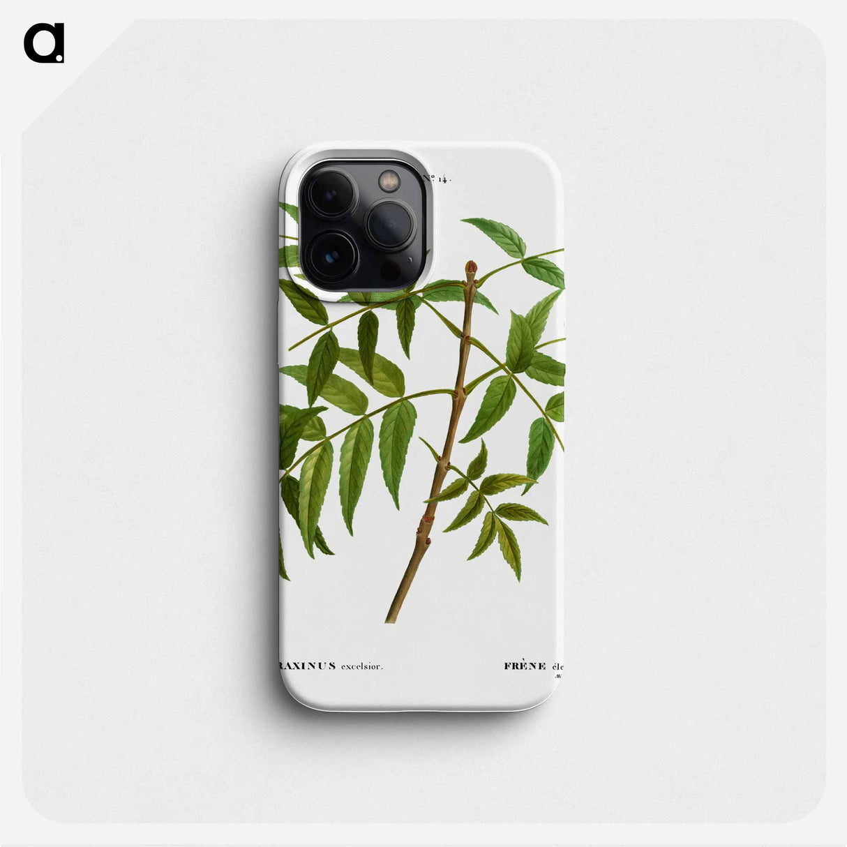 European ash - Pierre Joseph Redouté Phone Case.