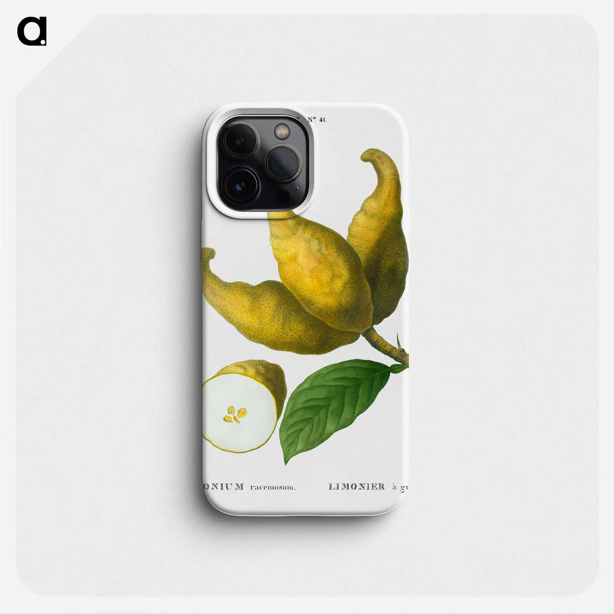 Cluster of lemons - Pierre Joseph Redouté Phone Case.