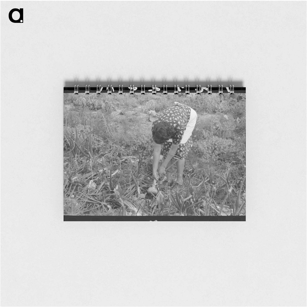 アートメモ帳-Worn Tires, Kilgore, Texas
- ラッセル リー Memo.