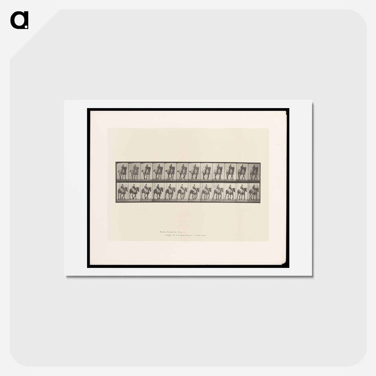 アートポストカード-Bareback Rider
- エドワード マイブリッジ Postcard.