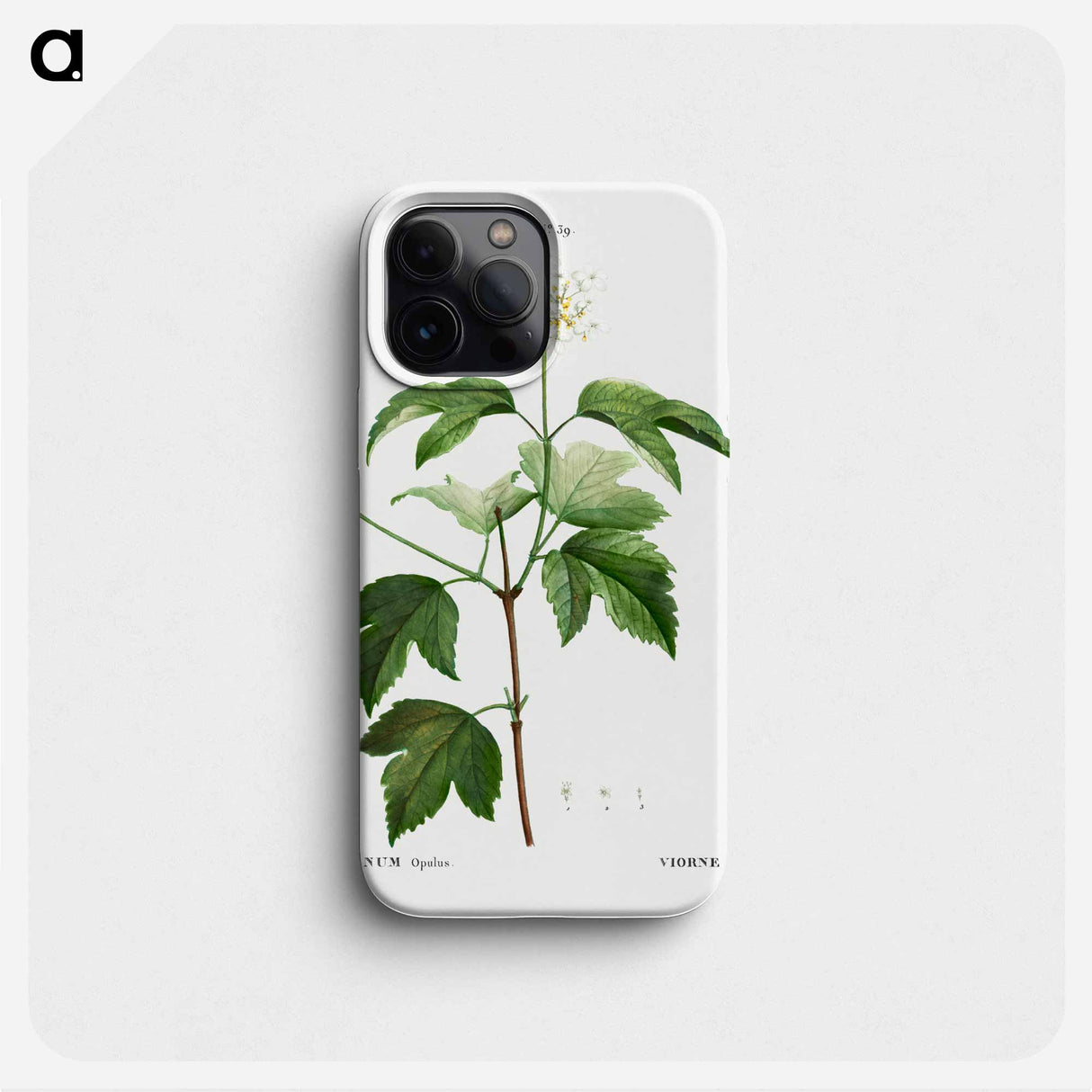 Guelder-rose (Viburnum opulus) - Pierre Joseph Redouté Phone Case.