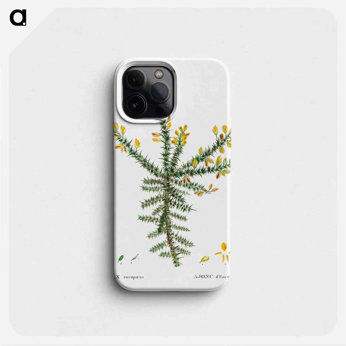 Gorse - Pierre Joseph Redouté Phone Case.