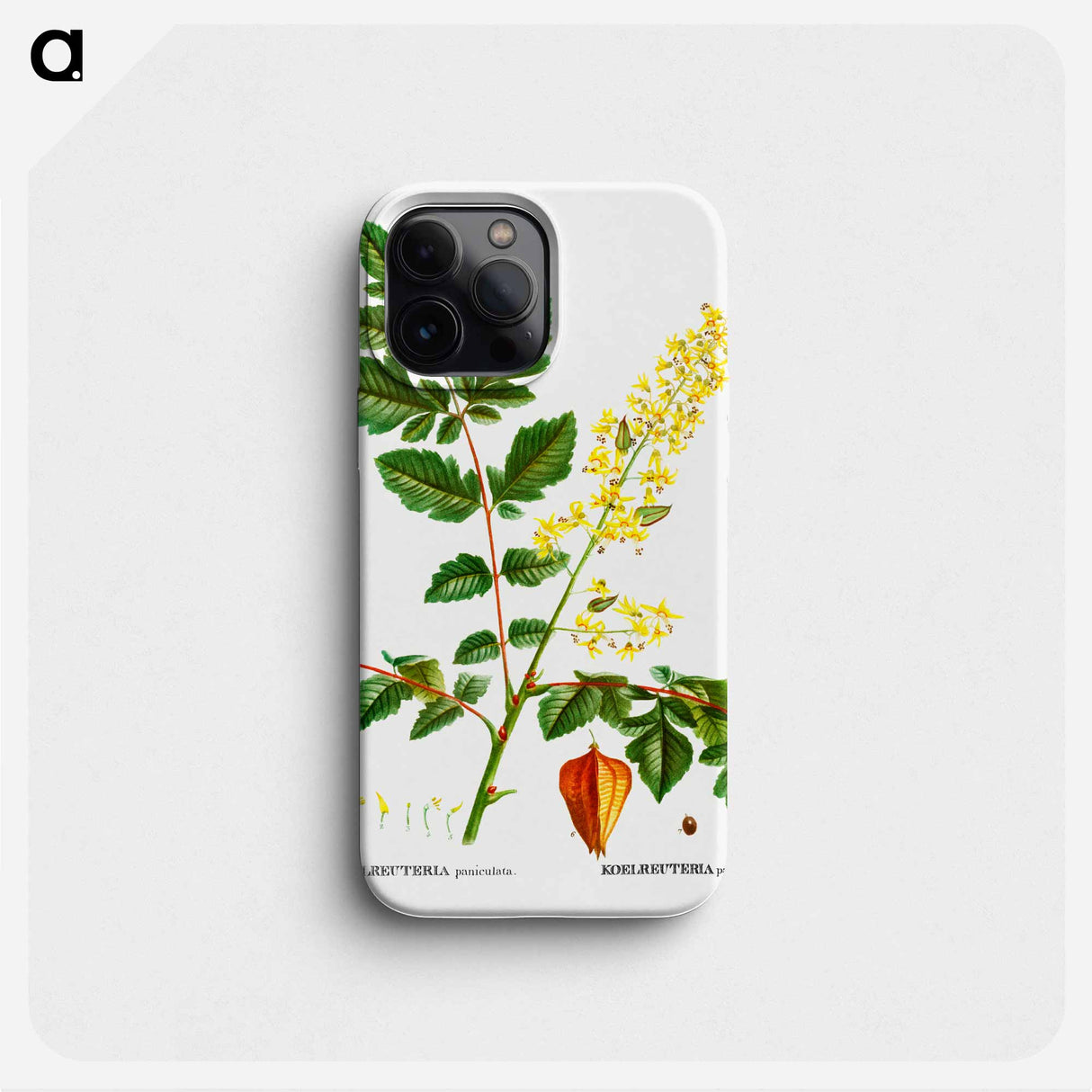 Koelreuteria paniculata - Pierre Joseph Redouté Phone Case.
