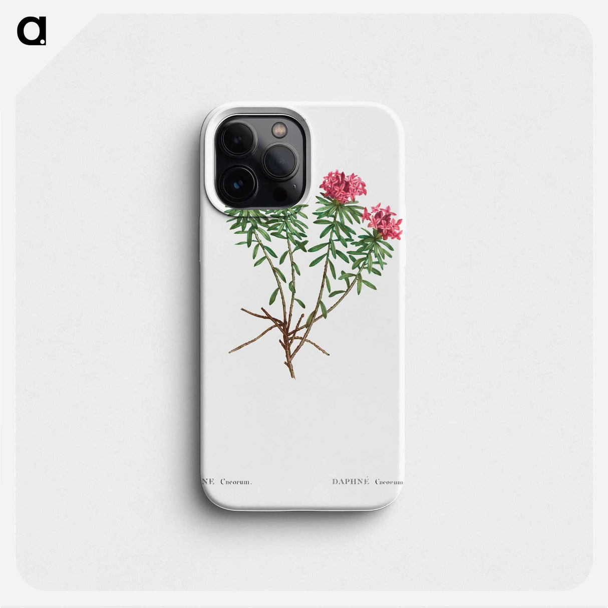Garland Flower (Daphne cneorum) - Pierre Joseph Redouté Phone Case.
