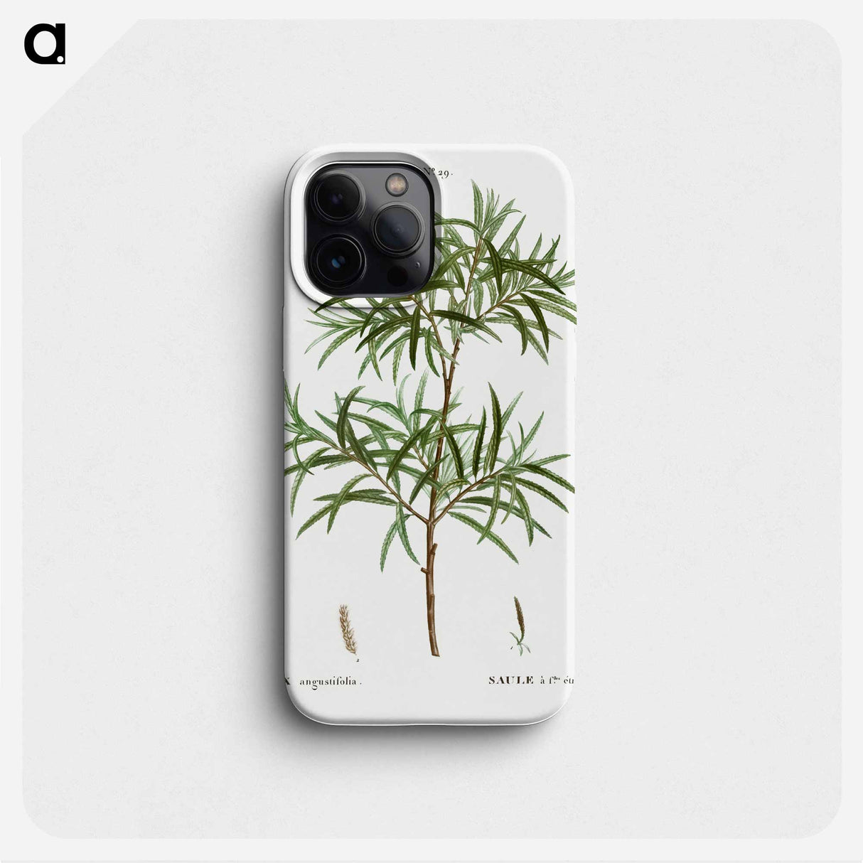 Bitter willow, Salix angustifolia - Pierre Joseph Redouté Phone Case.