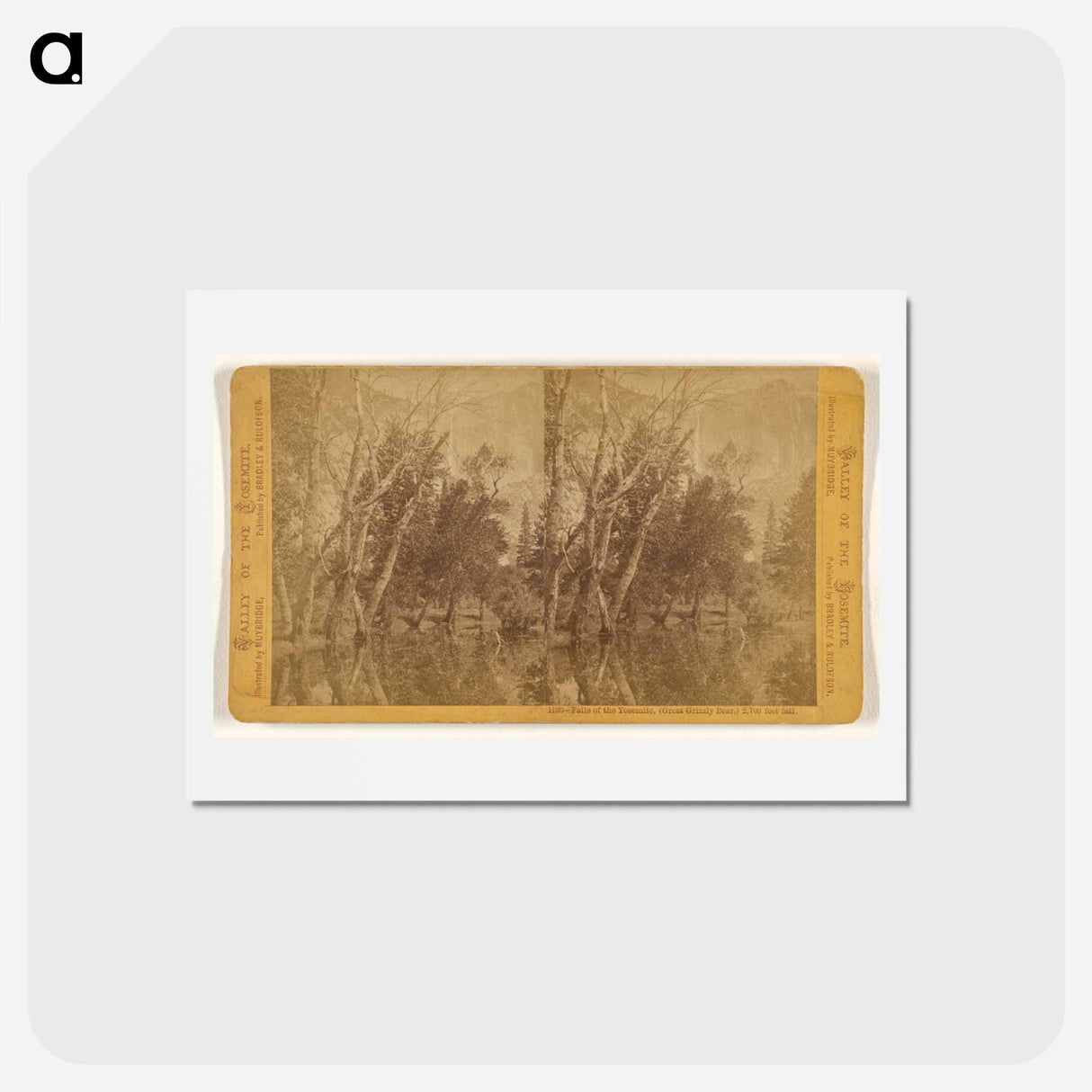 アートポストカード-Falls of the Yosemite (Great Grizzly Bear)
- エドワード マイブリッジ Postcard.