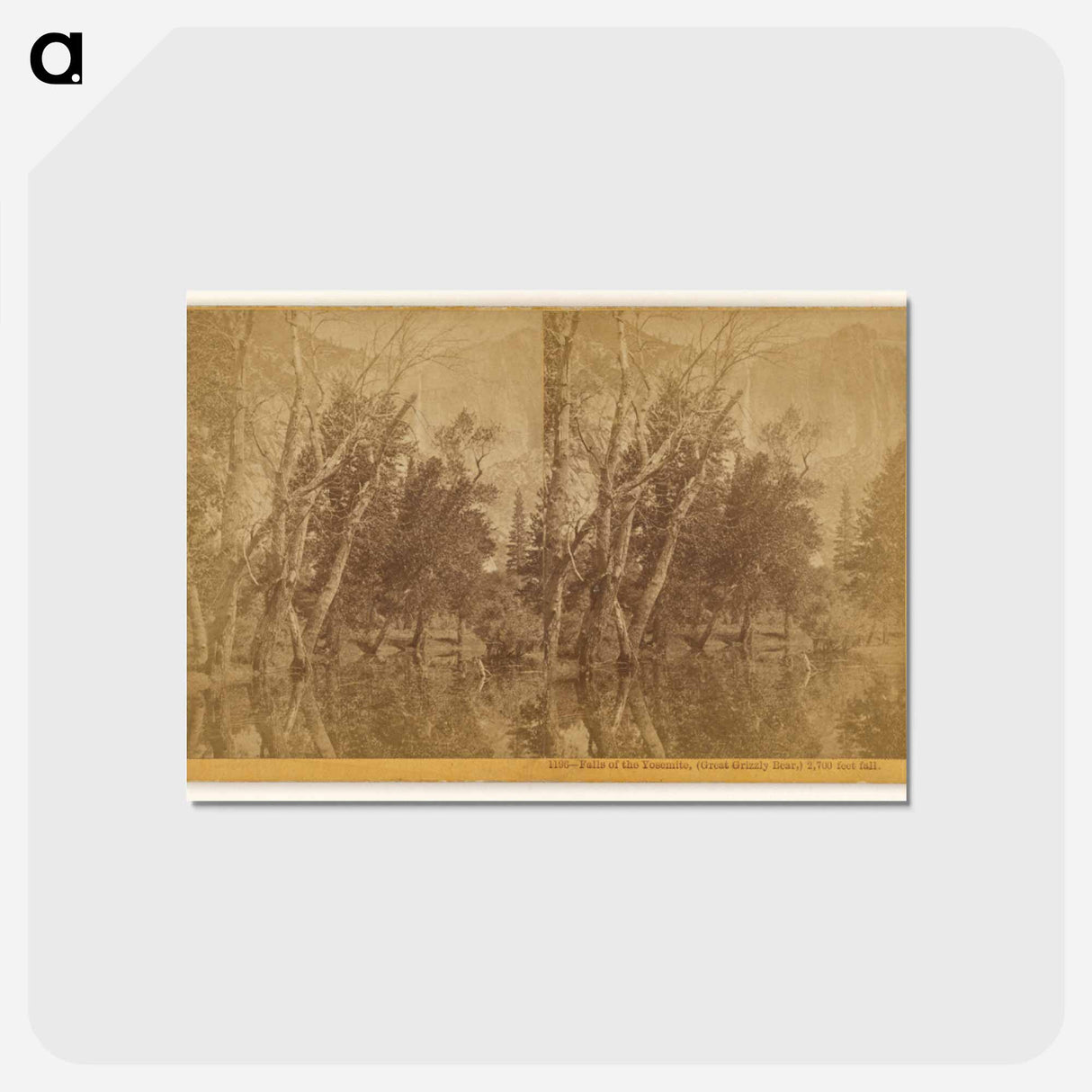 アートポストカード-Falls of the Yosemite (Great Grizzly Bear)
- エドワード マイブリッジ Postcard.
