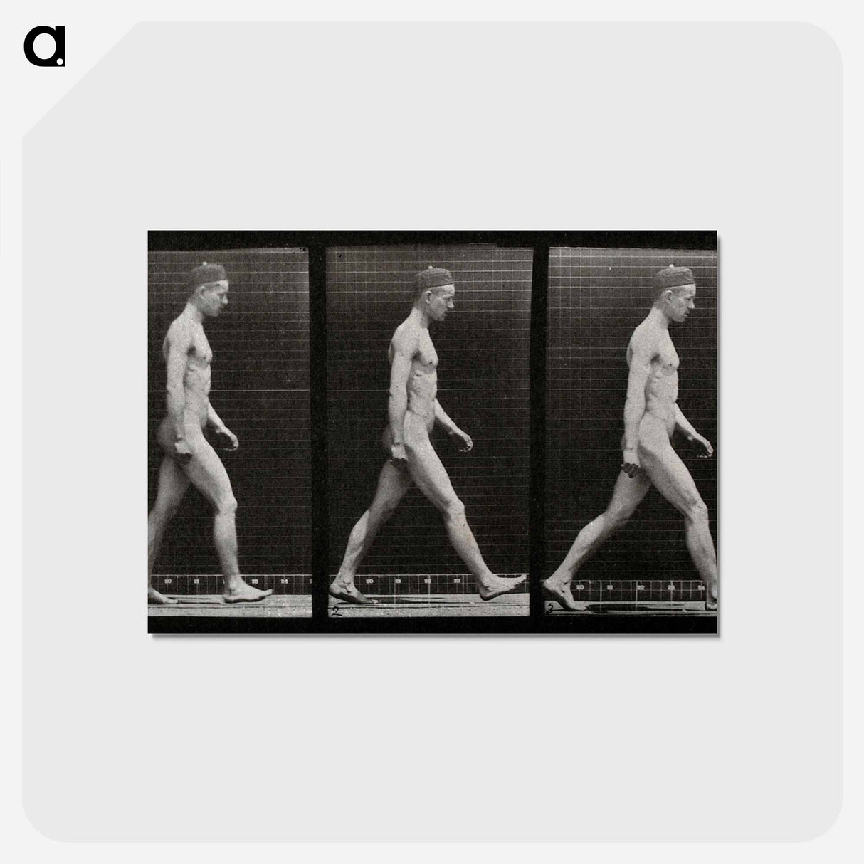 アートポストカード-Man Walking
- エドワード マイブリッジ Postcard.