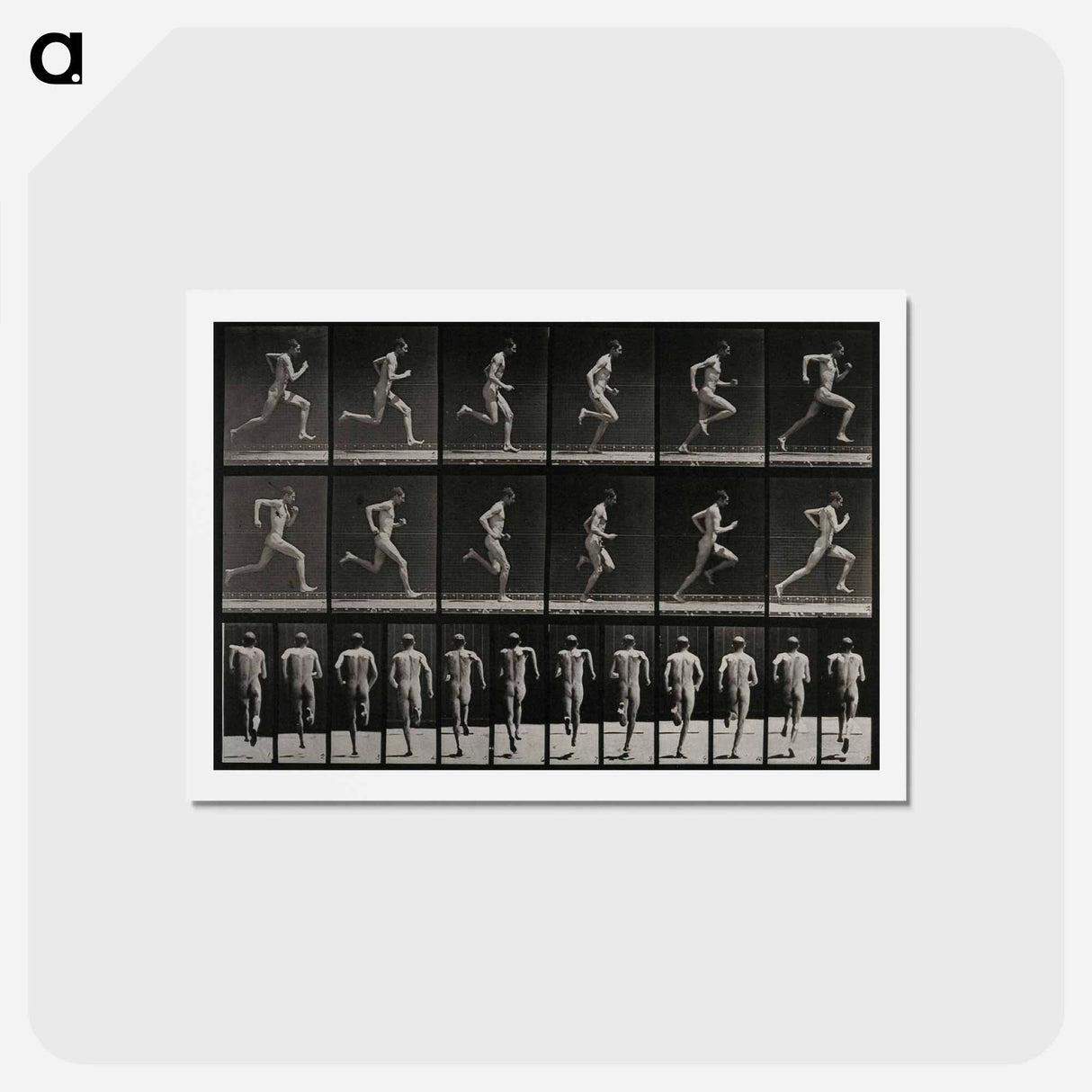 アートポストカード-Sprinting Man
- エドワード マイブリッジ Postcard.