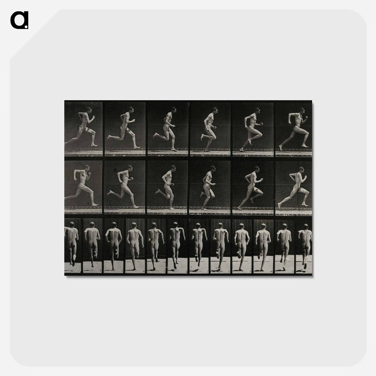 アートポストカード-Sprinting Man
- エドワード マイブリッジ Postcard.
