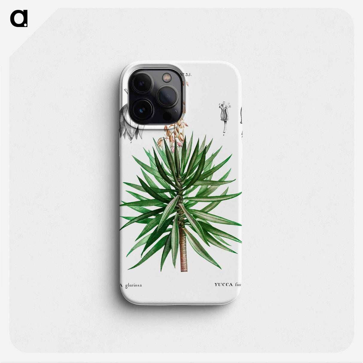 Spanish dagger (Yucca gloriosa) - Pierre Joseph Redouté Phone Case.