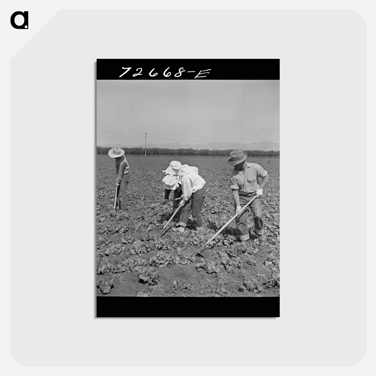 アートポストカード-San Benito Evacuation
- ラッセル リー Postcard.