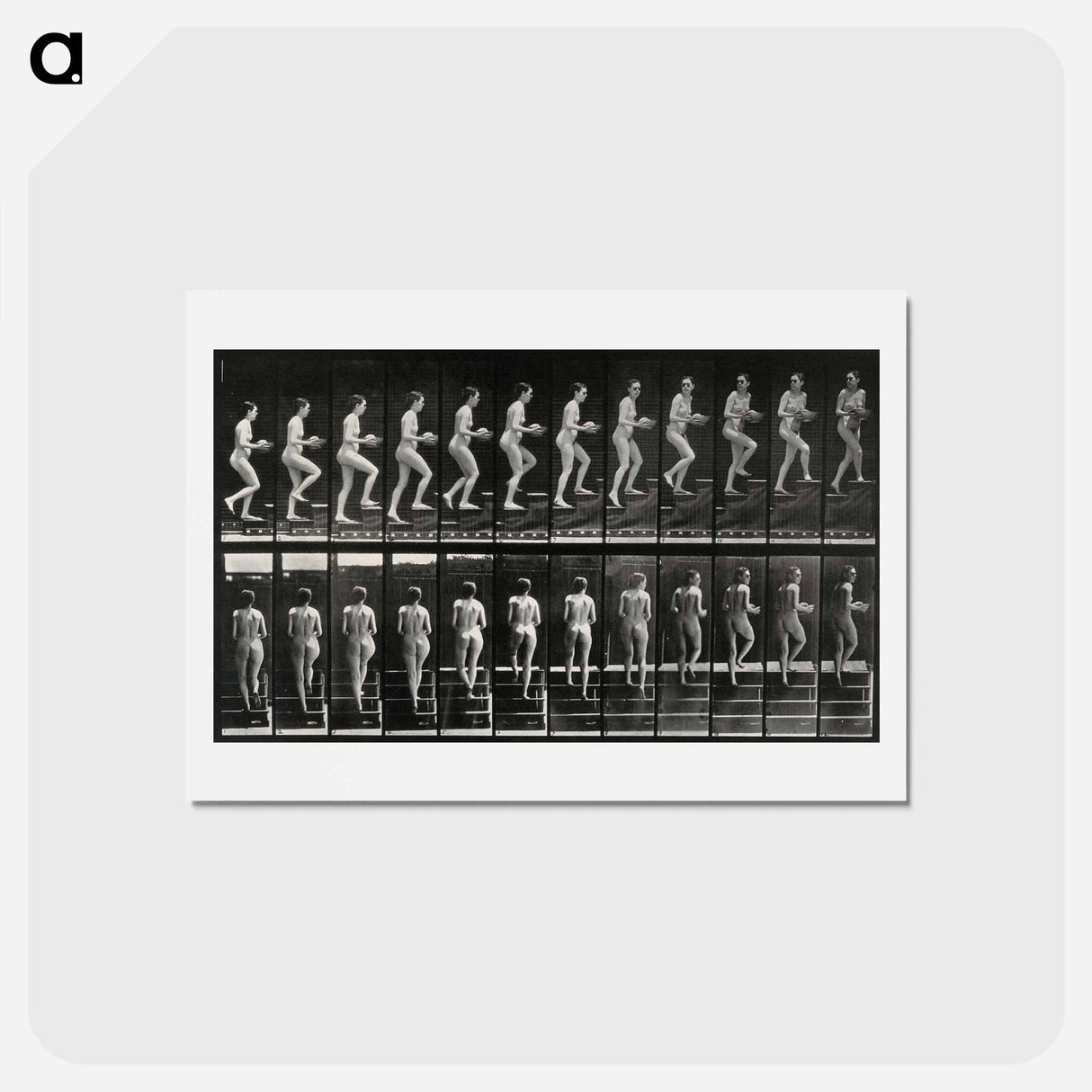 アートポストカード-Woman with Bowl Ascending Stairs
- エドワード マイブリッジ Postcard.