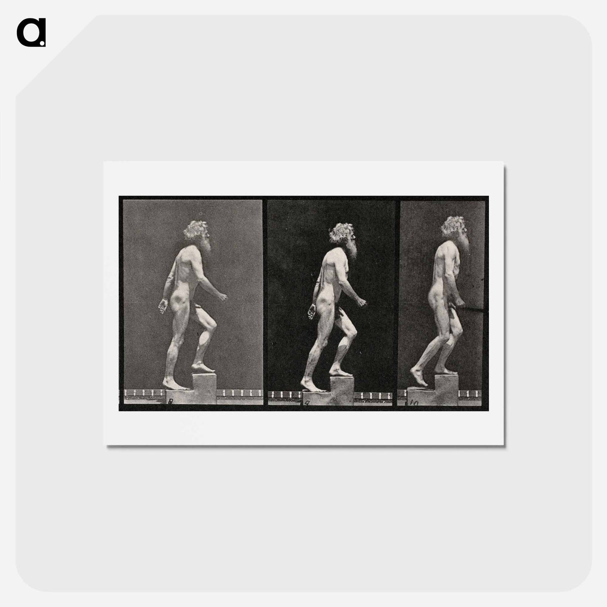 アートポストカード-E. Muybridge: Motion Studies
- エドワード マイブリッジ Postcard.