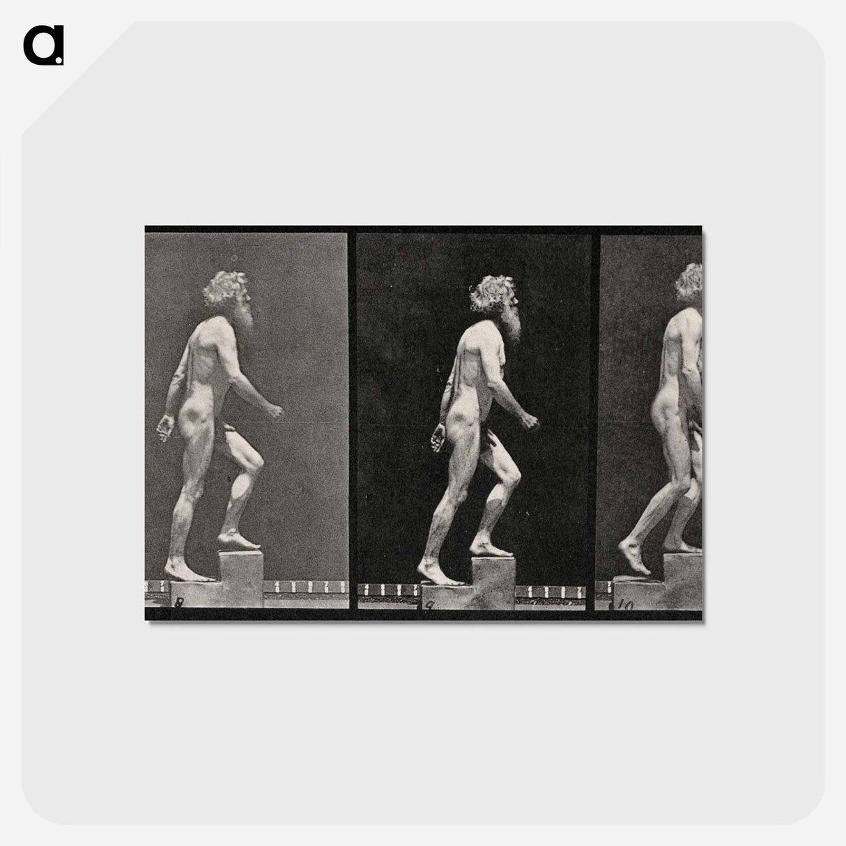 アートポストカード-E. Muybridge: Motion Studies
- エドワード マイブリッジ Postcard.