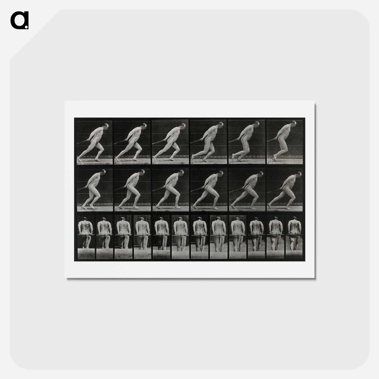 アートポストカード-Man Pulling a Roller
- エドワード マイブリッジ Postcard.