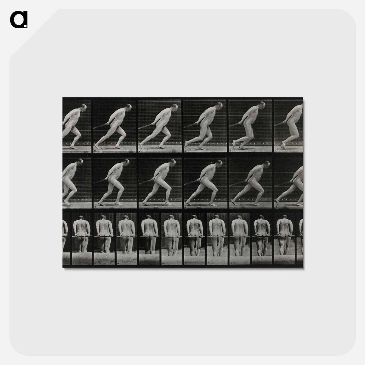アートポストカード-Man Pulling a Roller
- エドワード マイブリッジ Postcard.