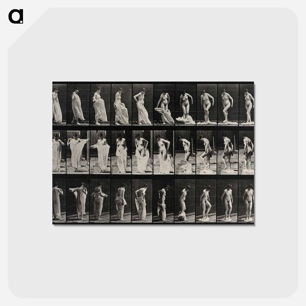 アートポストカード-Undressing
- エドワード マイブリッジ Postcard.