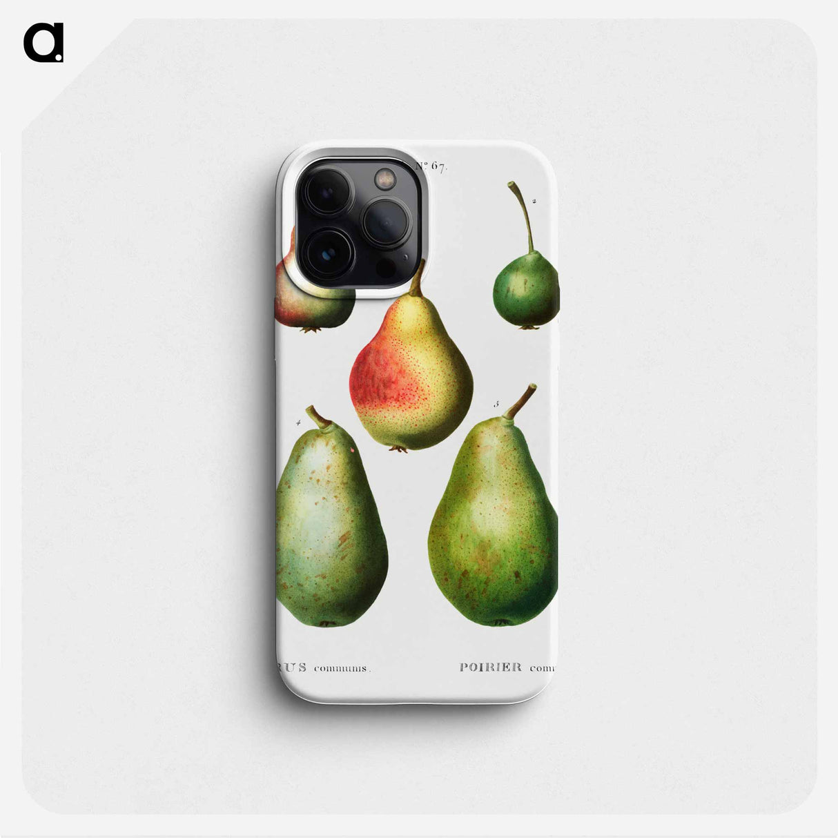 Pear, Pyrus communis - Pierre Joseph Redouté Phone Case.