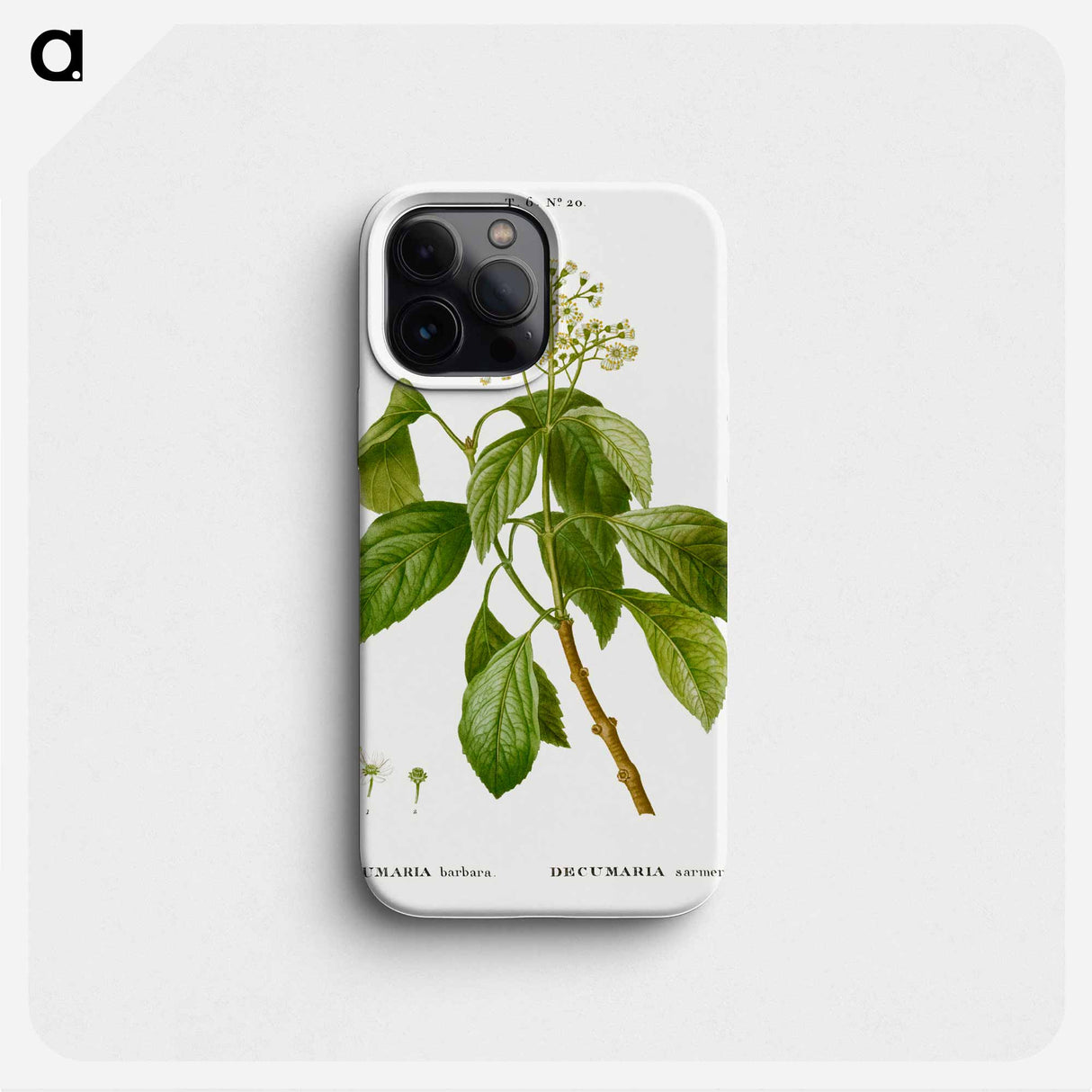 Climbing hydrangea - Pierre Joseph Redouté Phone Case.