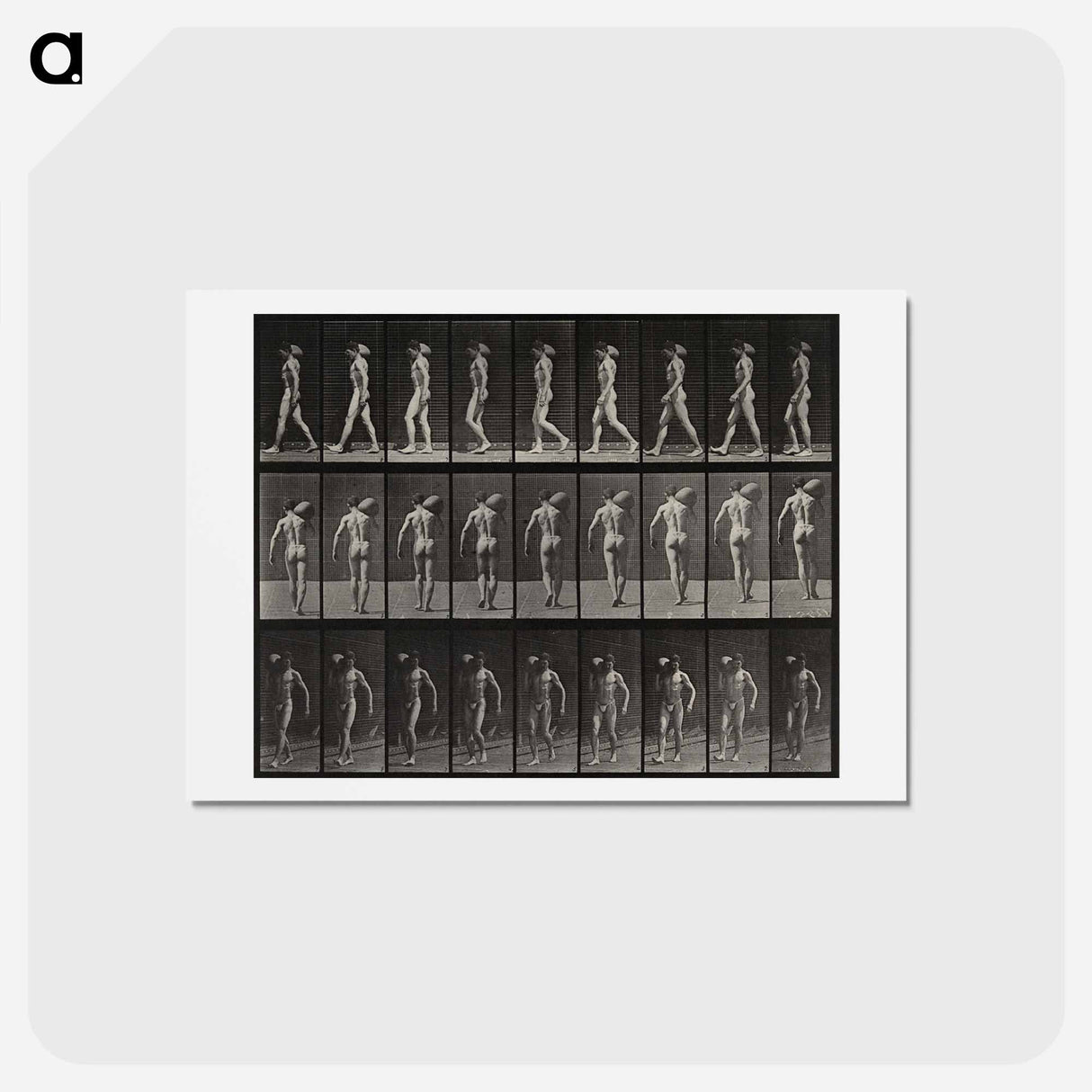 アートポストカード-Man with Load
- エドワード マイブリッジ Postcard.