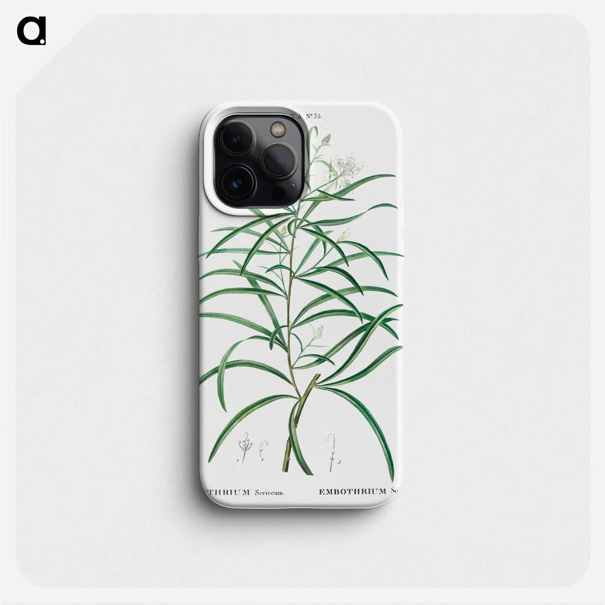 Narrow-leaved Spider Flower - Pierre Joseph Redouté Phone Case.