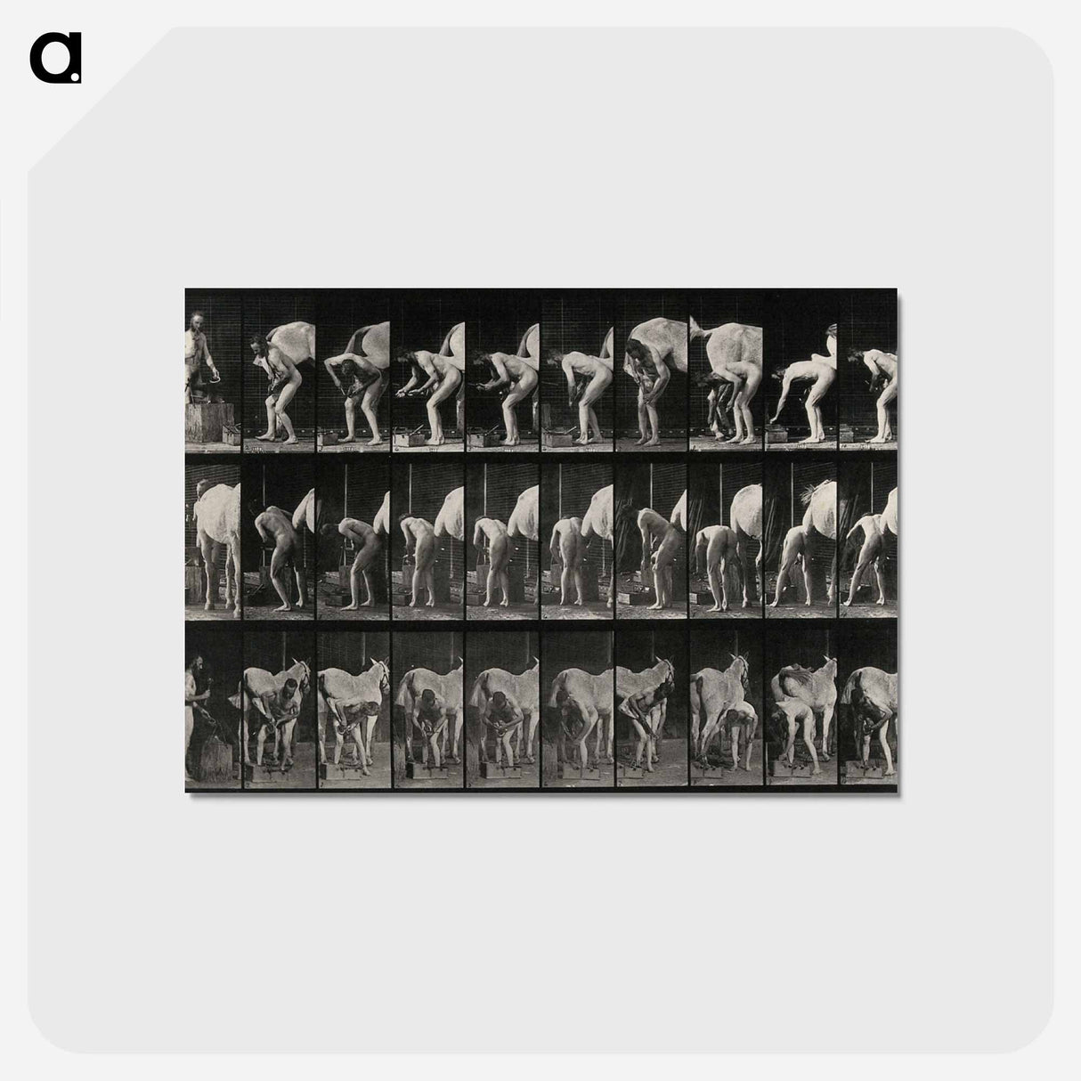アートポストカード-Shoeing the Horse
- エドワード マイブリッジ Postcard.