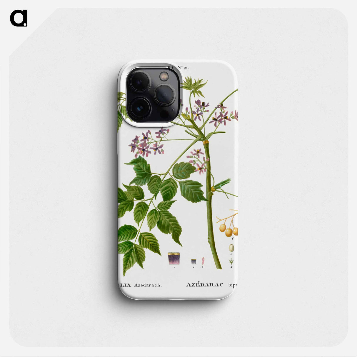 Chinaberry - Pierre Joseph Redouté Phone Case.