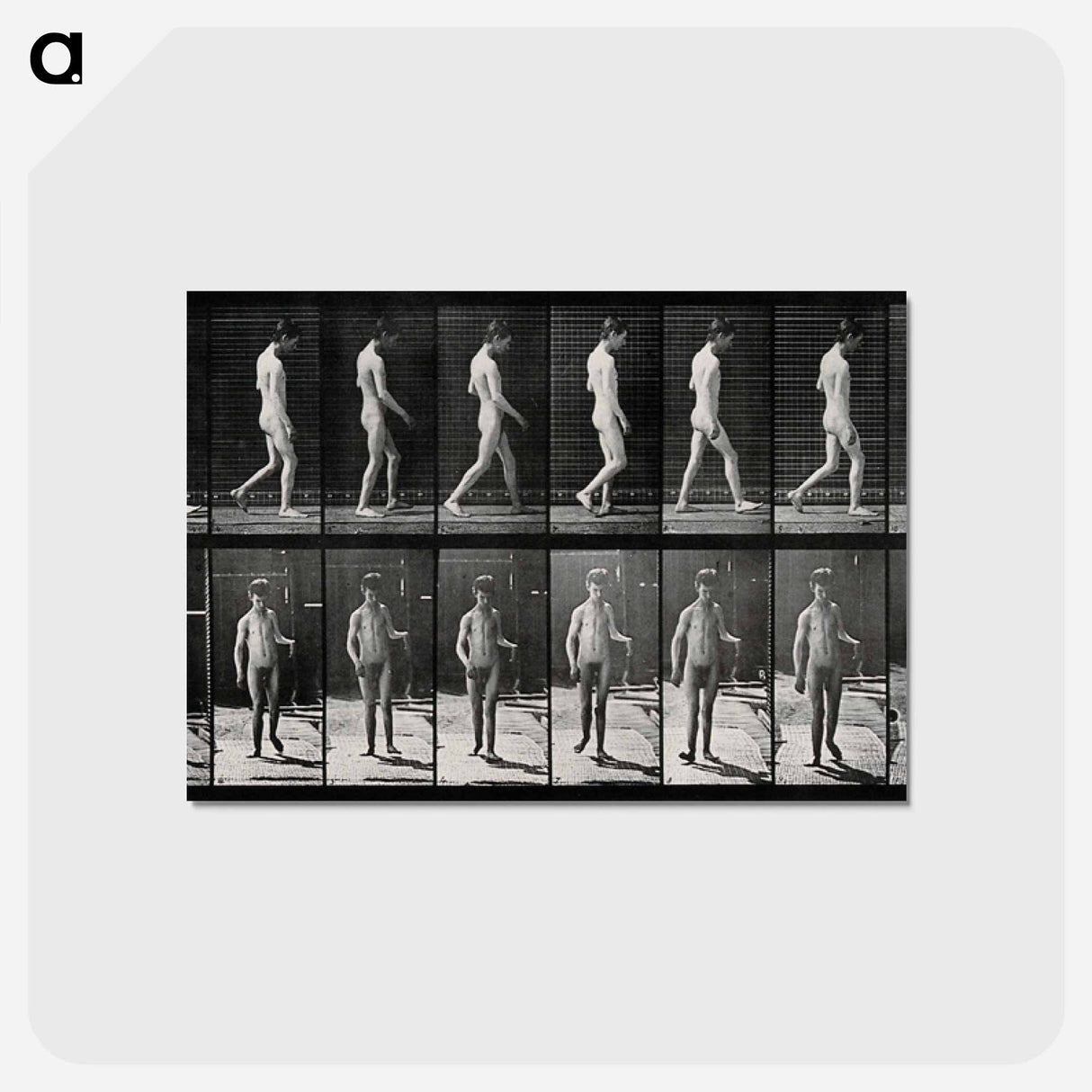 アートポストカード-Man Walking
- エドワード マイブリッジ Postcard.