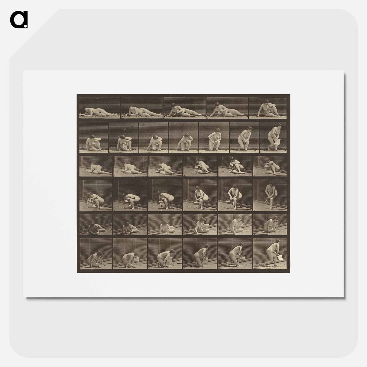 アートポスター-Animal Locomotion
- エドワード マイブリッジ Poster.