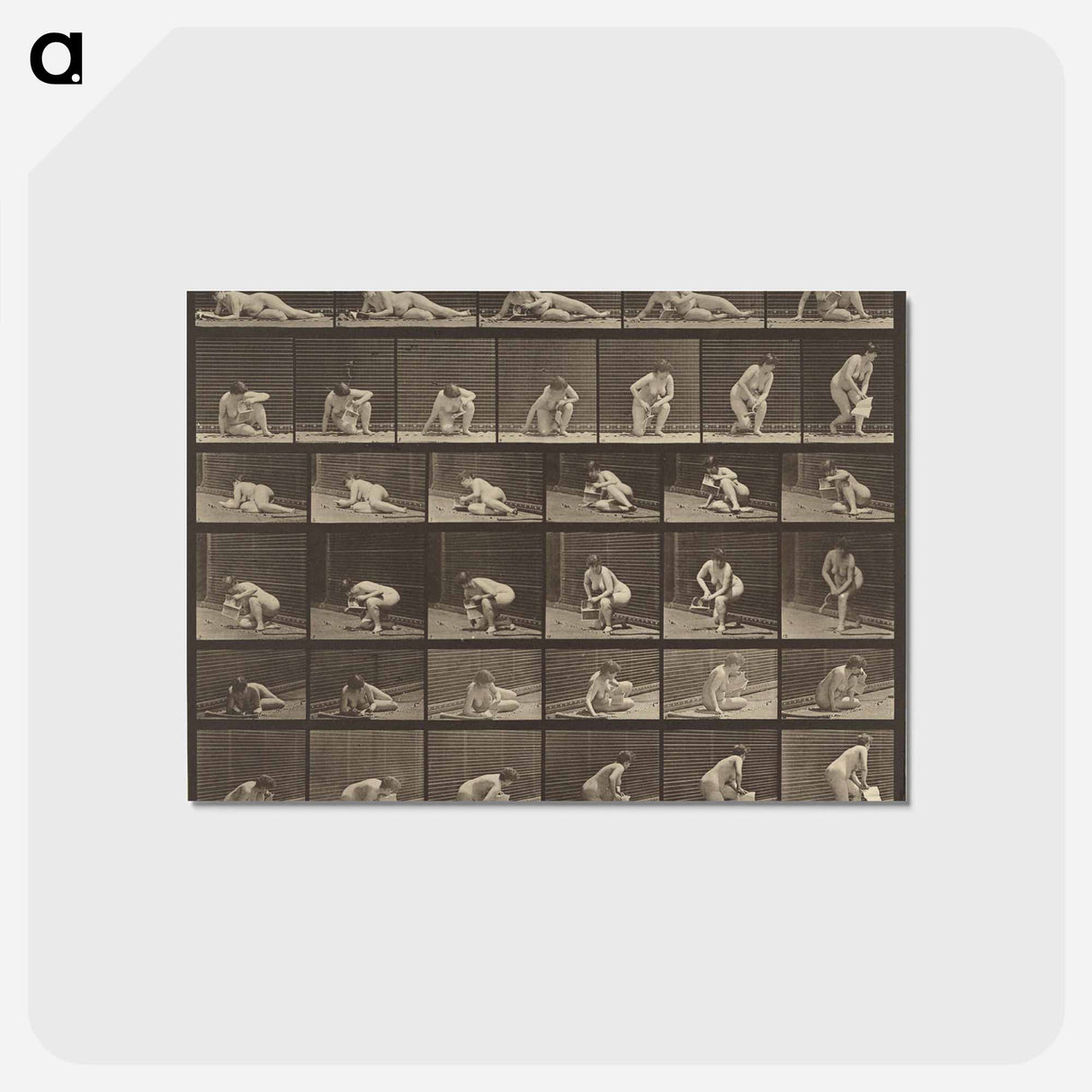アートポストカード-Animal Locomotion
- エドワード マイブリッジ Postcard.