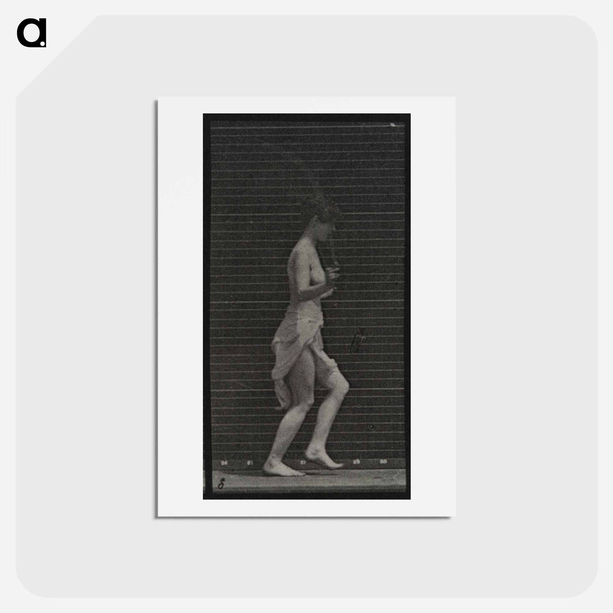 アートポストカード-Skipping Woman
- エドワード マイブリッジ Postcard.