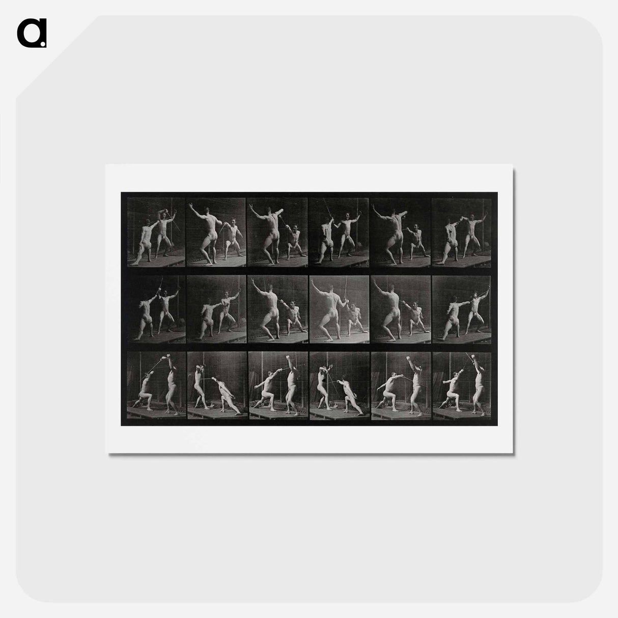 アートポストカード-Fencing
- エドワード マイブリッジ Postcard.