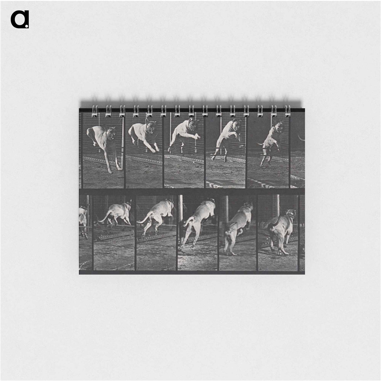 アートメモ帳-Dog Jumping a Hurdle
- エドワード マイブリッジ Memo.