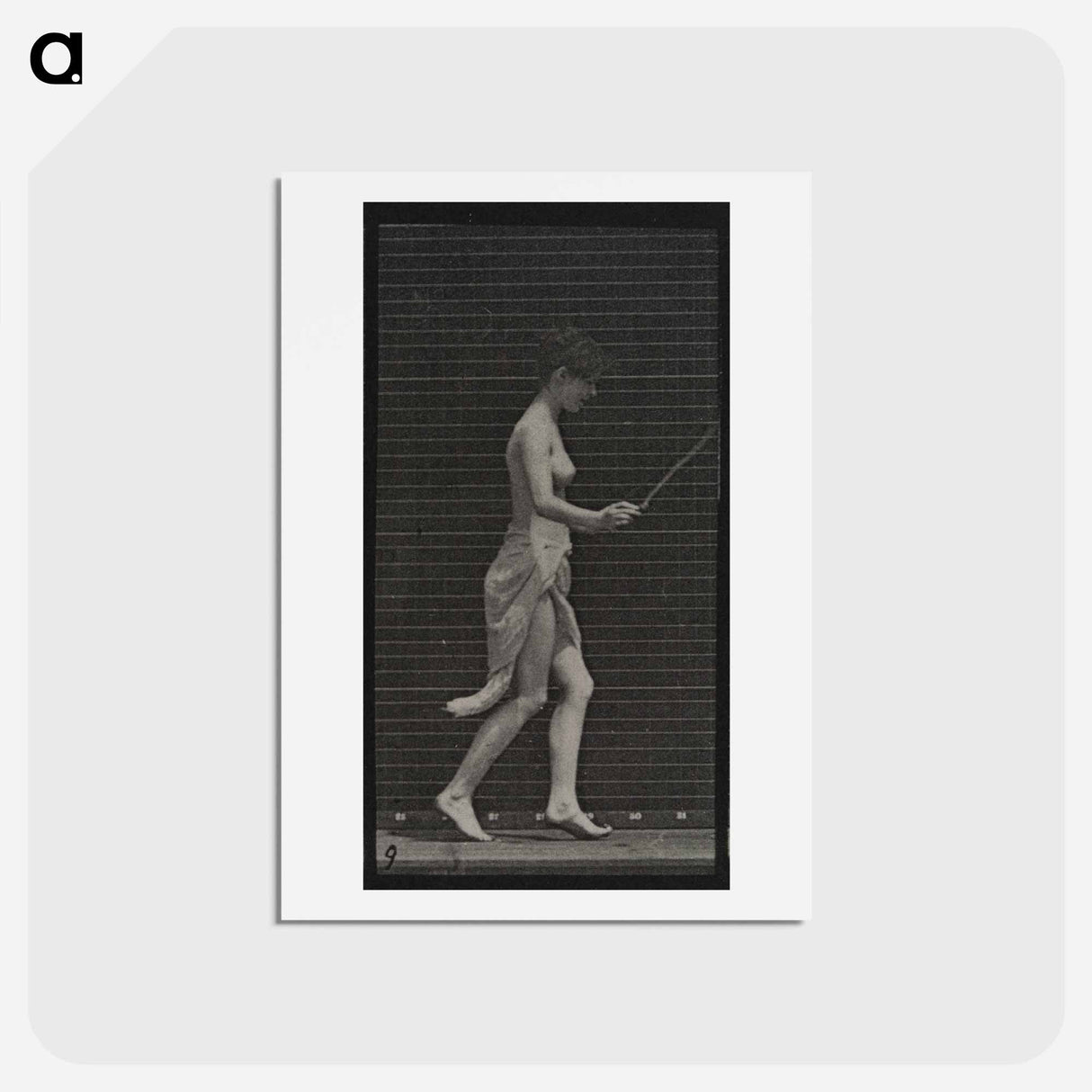 アートポストカード-Skipping Woman
- エドワード マイブリッジ Postcard.
