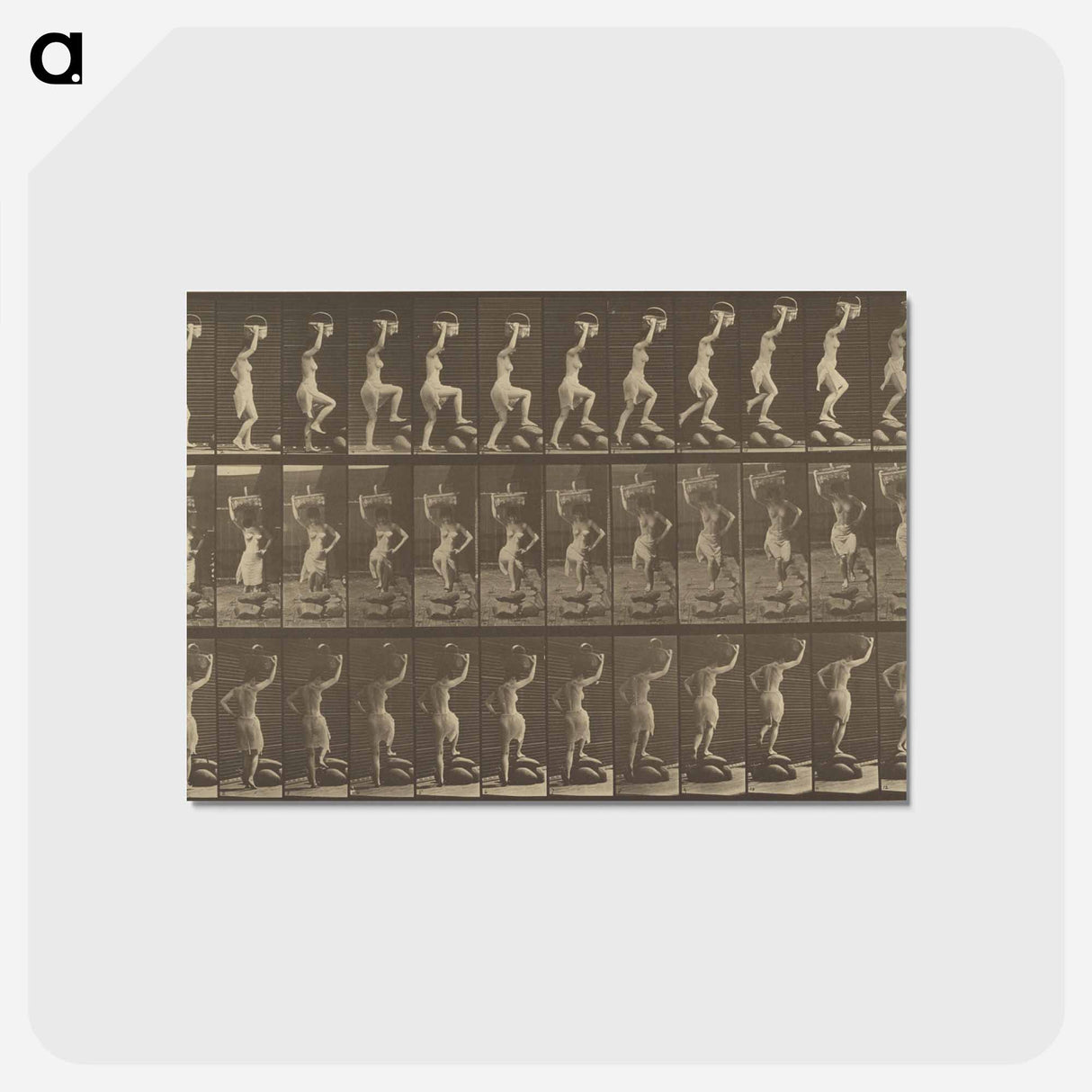 アートポストカード-Animal Locomotion
- エドワード マイブリッジ Postcard.