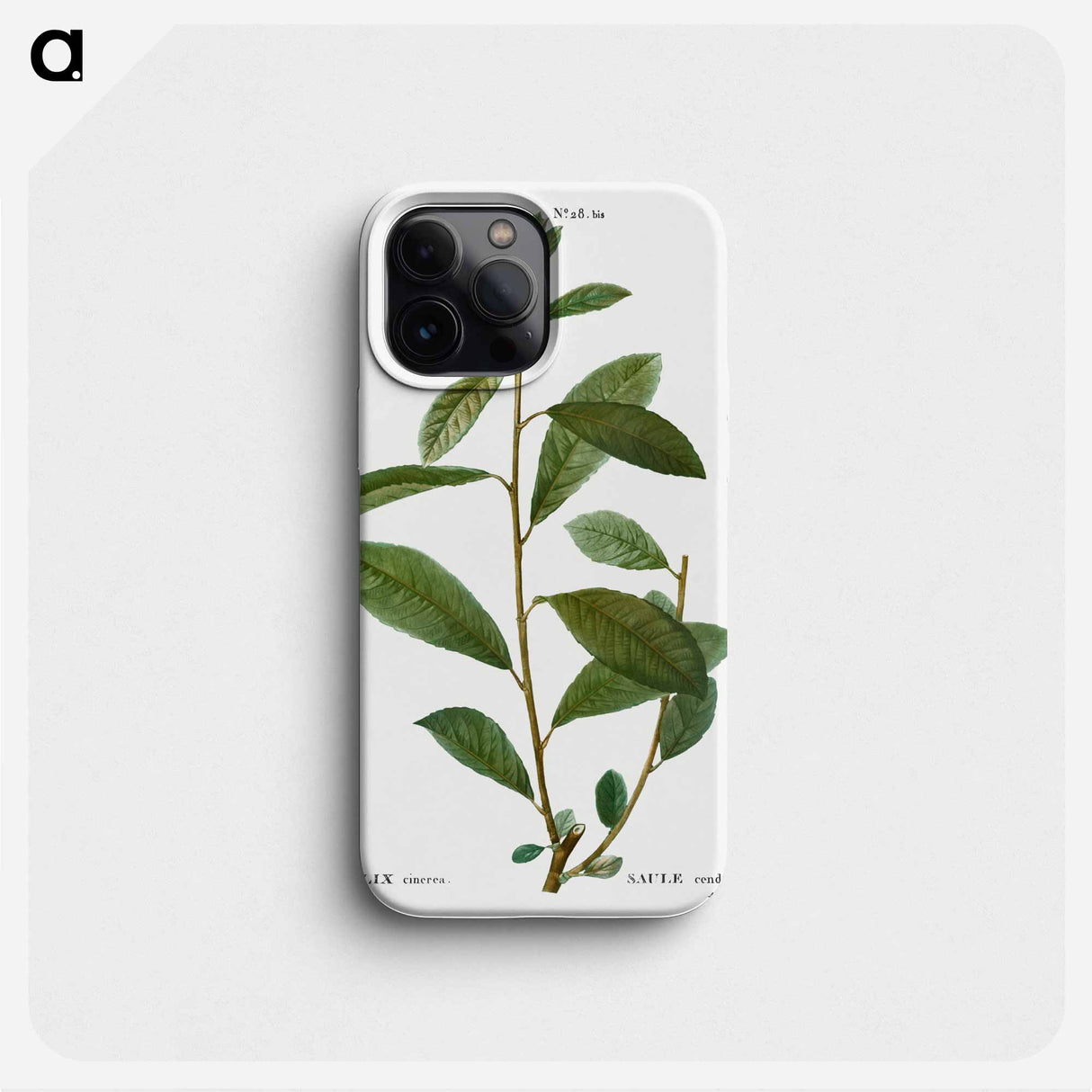 Grey willow - Pierre Joseph Redouté Phone Case.