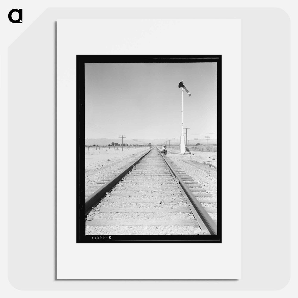 Looking east down the railroad track, near Calipatria, California - Dorothea Lange Poster.
