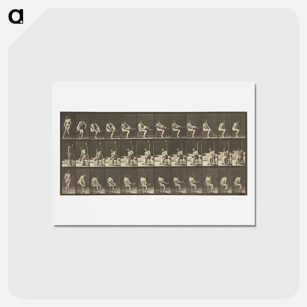 アートポストカード-Animal Locomotion
- エドワード マイブリッジ Postcard.