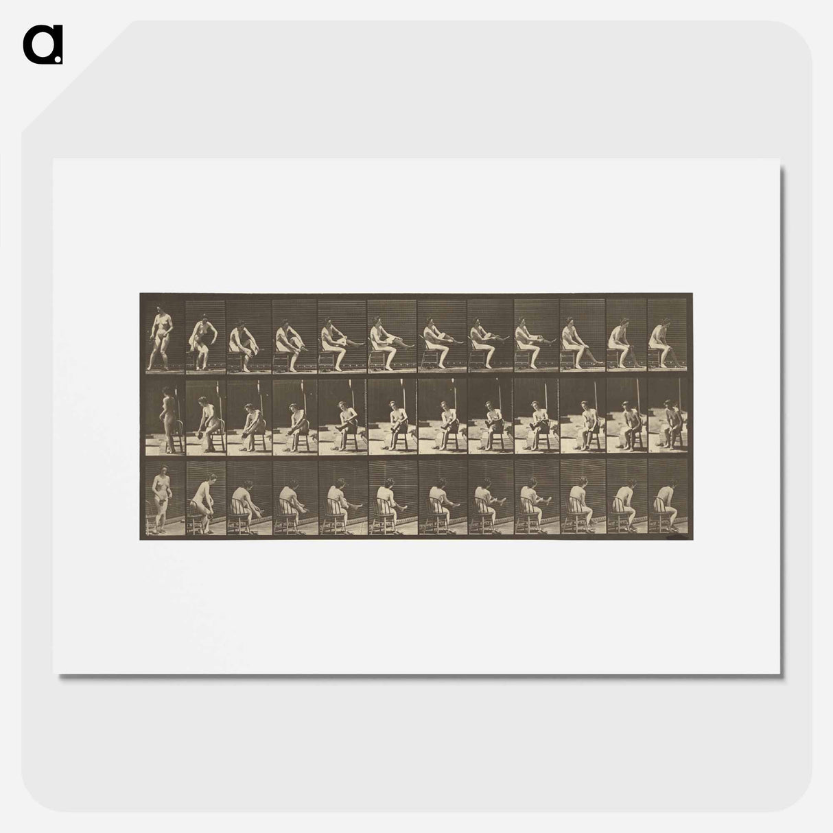 アートポスター-Animal Locomotion
- エドワード マイブリッジ Poster.